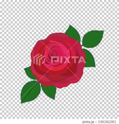 赤いバラのイラスト 136162261