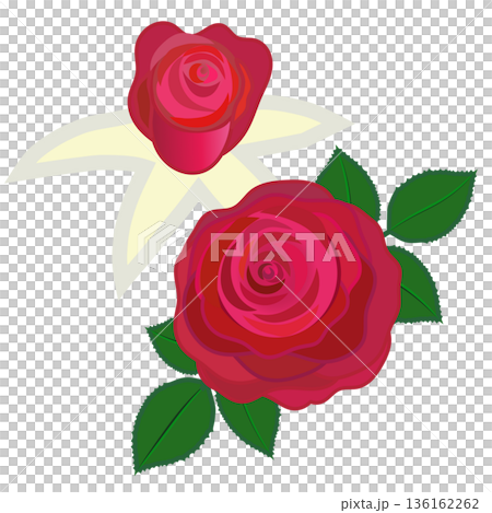 赤いバラのイラスト 赤いバラのイラスト 136162262