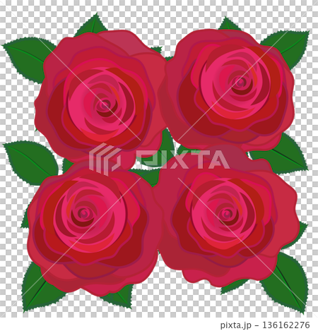 赤いバラのイラスト 136162276