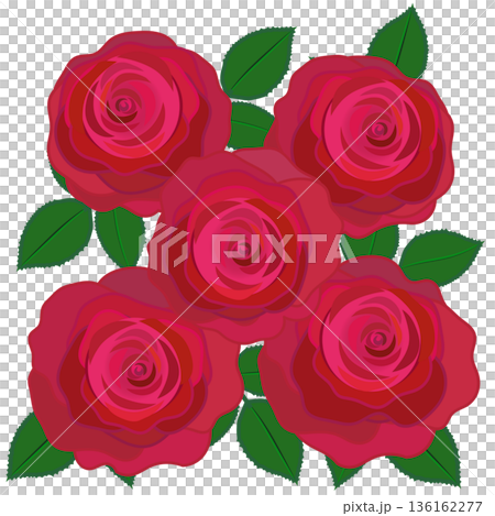 Illustration of a red rose Illustration of a red rose 136162277