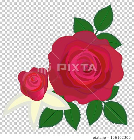 Illustration of a red rose Illustration of a red rose 136162300
