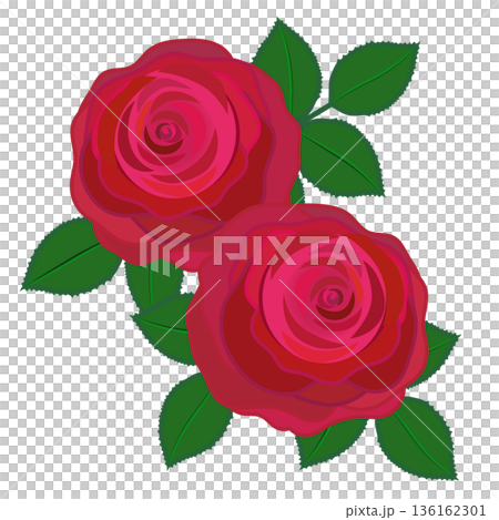 Illustration of a red rose Illustration of a red rose 136162301