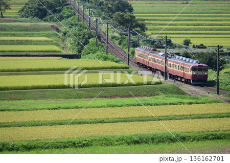 妙高の棚田を行く国鉄色急行型電車 妙高の棚田を行く国鉄色急行型電車 136162701