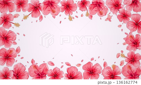 沖縄旅行の思い出を包むハイビスカス花びらの水彩背景素材 沖縄旅行の思い出を包むハイビスカス花びらの水彩背景素材 136162774