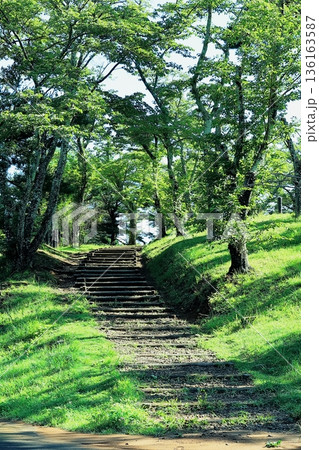 新緑に包まれた木陰の階段道 136163587
