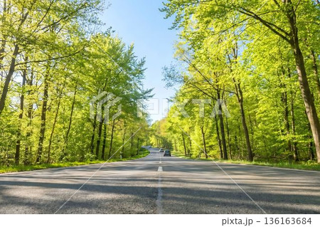 新緑の並木道を走る車　初夏のドライブ風景 136163684