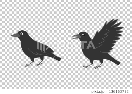 Crow illustration set Crow illustration set 136163752