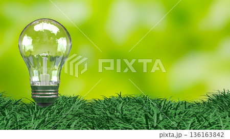 Eco Friendly Energy Light Bulb on Green Grass 3d render. Eco Friendly Energy Light Bulb on Green Grass 3d render. 136163842