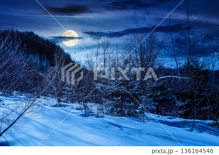 winter landscape at night. deciduous forest on snow covered hill in full moon light. beautiful scenery of park under blue sky for travel background. backdrop for fiction art or mystery concepts winter landscape at night. deciduous forest on snow covered hill in full moon light. beautiful scenery of park under blue sky for travel background. backdrop for fiction art or mystery concepts 136164546
