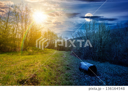 mountain landscape with green grass on forest glade in spring. day and night time change concept. beautiful nature scenery with beech trees under sky with sun and moon. equality and shift template mountain landscape with green grass on forest glade in spring. day and night time change concept. beautiful nature scenery with beech trees under sky with sun and moon. equality and shift template 136164548