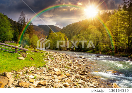 mountain river among the evergreen forest in spring at sunset. trees, grass, wooden fence and stones on the shore in evening light. beautiful nature landscape. wonderful weather with sky with rainbow mountain river among the evergreen forest in spring at sunset. trees, grass, wooden fence and stones on the shore in evening light. beautiful nature landscape. wonderful weather with sky with rainbow 136164559