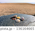 砂浜と貝殻 136164665