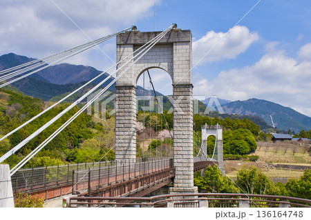 【神奈川県】秦野戸川公園の風の吊り橋 136164748