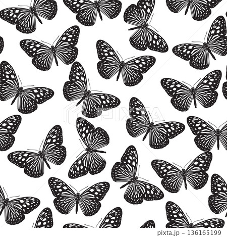 Butterfly Tirumala septentrionis Seamless 136165199