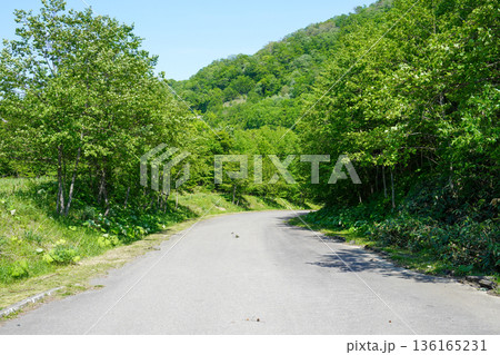 夕張シューパロダムへと至る道 136165231