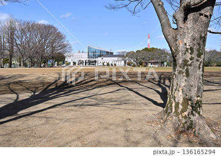 越谷散歩:県民健康福祉村 越谷市北越谷 越谷散歩:県民健康福祉村 越谷市北越谷 136165294