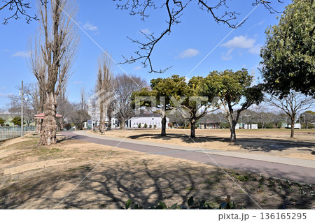 越谷散歩:県民健康福祉村 越谷市北越谷 越谷散歩:県民健康福祉村 越谷市北越谷 136165295