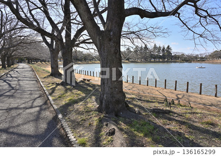 越谷散歩：県民健康福祉村　越谷市北越谷 136165299