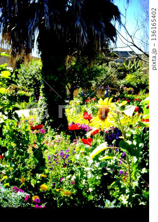 モロッコのラバトの花園 136165402
