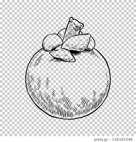 Mangosteen fruit sketch Mangosteen fruit sketch 136165546
