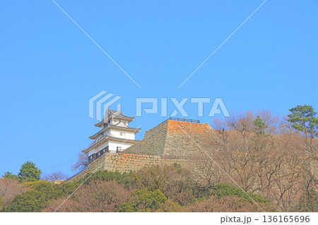 香川県丸亀市、丸亀城の風景 136165696