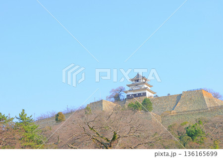 香川県丸亀市、丸亀城の風景 香川県丸亀市、丸亀城の風景 136165699