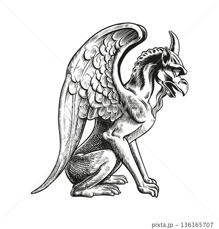 Hand drawn gryphon Hand drawn gryphon 136165707