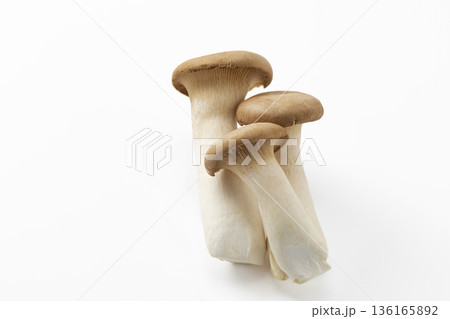 白バックのエリンギ 136165892