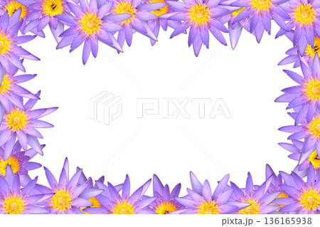 Lotus flower blossom Border Frame 136165938