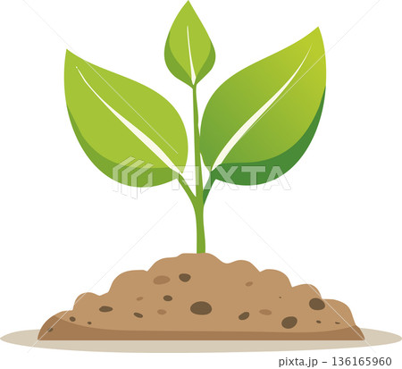 Young green plant emerging from rich soil symbolizing natural growth renewal and environmental care 136165960