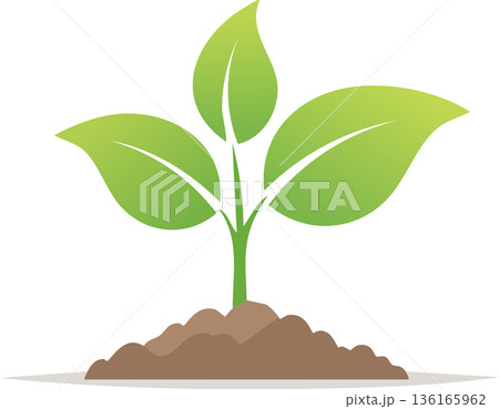 Small sprout rising from dark soil illustrating hope natural development and organic cultivation representing sustainability agriculture 136165962