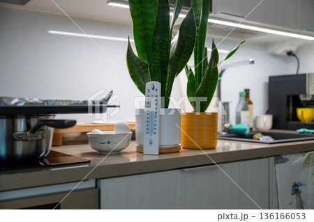 Indoor plants and kitchen thermometer on modern home countertop Indoor plants and kitchen thermometer on modern home countertop 136166053