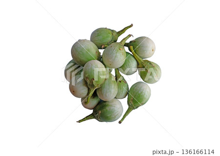 Thai Eggplant Green Brinjal 136166114
