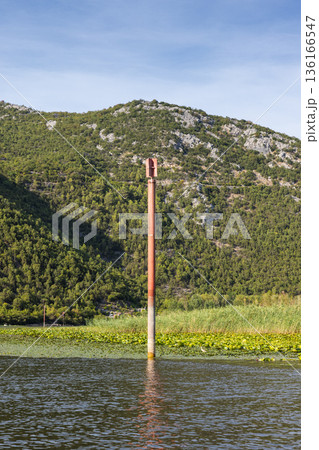 Rijeka Crnojevica, Montenegro. Vertical river scene 136166547