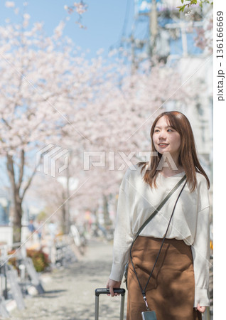 桜の時期に一人旅をする女性 桜の時期に一人旅をする女性 136166669