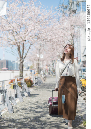 桜の時期に一人旅をする女性 136166672