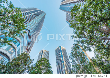 東京のベイエリアのタワーマンション 136166731