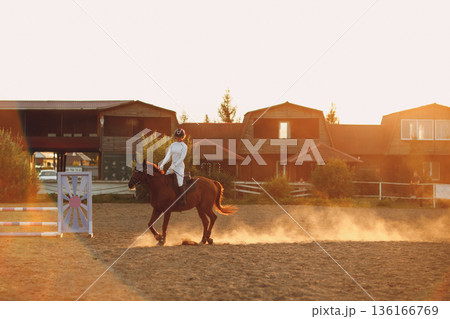 Woman rider jockey in helmet and white uniform preparing horse racing at sunset ranch 136166769