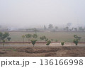 Air pollution and smog. Gray smoke from bonfires hangs over the suburbs. Traditional fire-raising or burning of turf, sod and dry grass on land plots and fields in Punjab, South Asia. 136166998