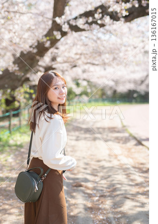 春の時期、桜の木の下で観光を楽しむ女性 136167015