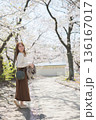 春の時期、桜の木の下で観光を楽しむ女性 136167017
