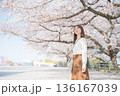 桜並木を歩く女性 136167039