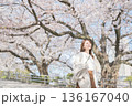 桜並木を歩く女性 136167040