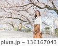 桜並木を歩く女性 136167043