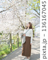 桜並木を歩く女性 136167045