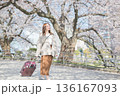 桜並木を散歩する若い女性 136167093