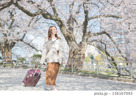 桜並木を散歩する若い女性 桜並木を散歩する若い女性 136167093