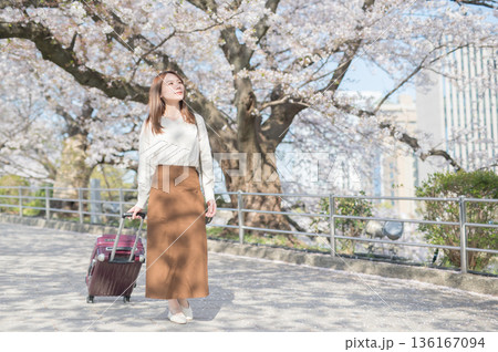 桜並木を散歩する若い女性 136167094