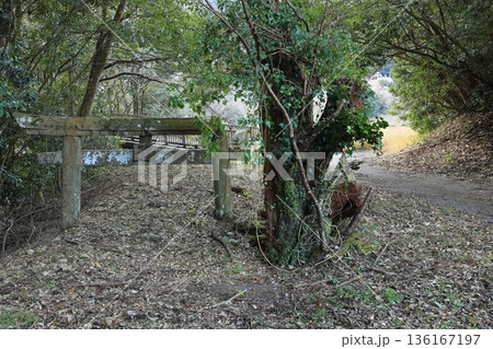 鷹子神社の埋没鳥居 136167197