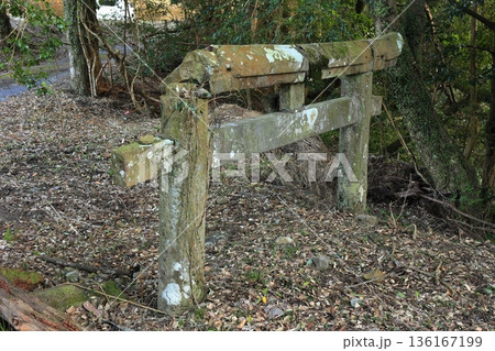 鷹子神社の埋没鳥居 136167199
